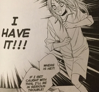 Illustration for article titled LDK Vol. 2 - Manga Review